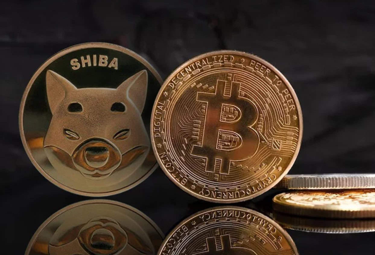 Shiba Inu (SHIB) Bitcoin Rank as Most Traded Assets